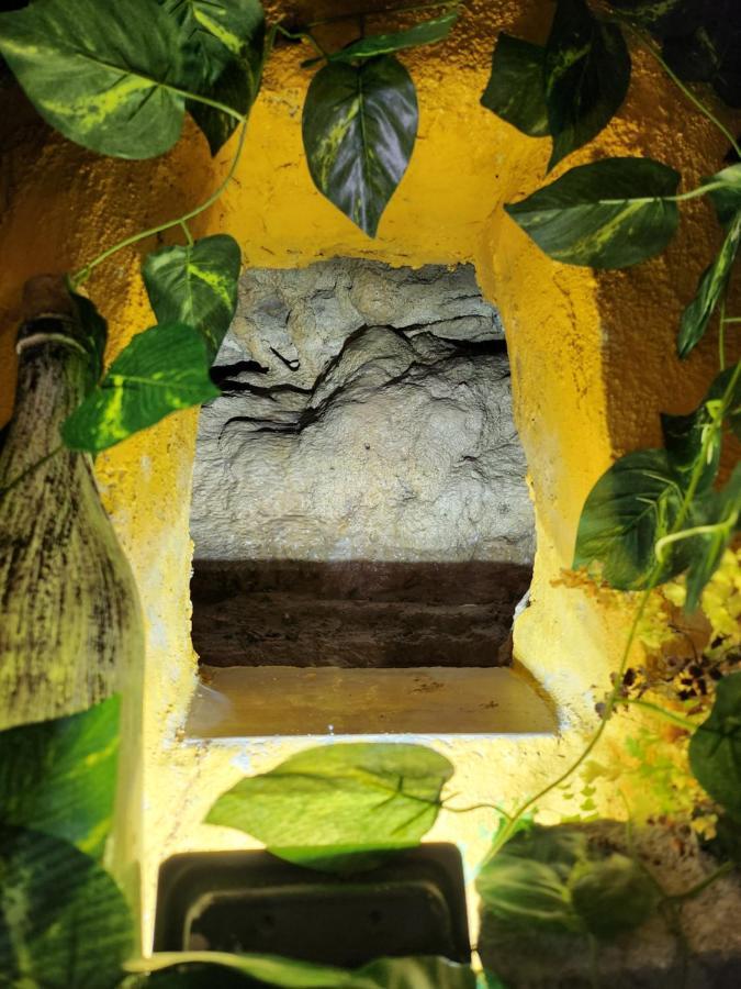 Casita Zamudio Lejlighed Setenil De Las Bodegas Eksteriør billede
